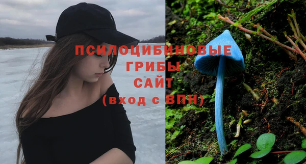 спиды Абдулино