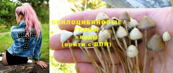 мет Абаза
