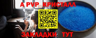 стаф Кингисепп