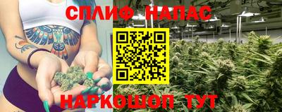 Альфа ПВП Кимры