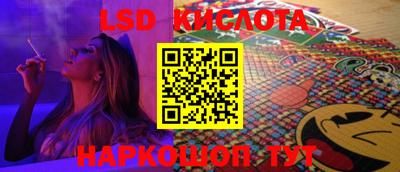 стаф Кингисепп