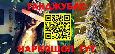 стаф Кингисепп
