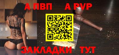 стаф Кингисепп