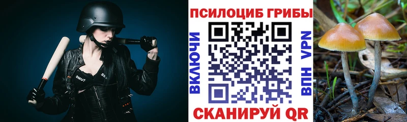 где купить наркоту  Красноперекопск  Псилоцибиновые грибы прущие грибы 