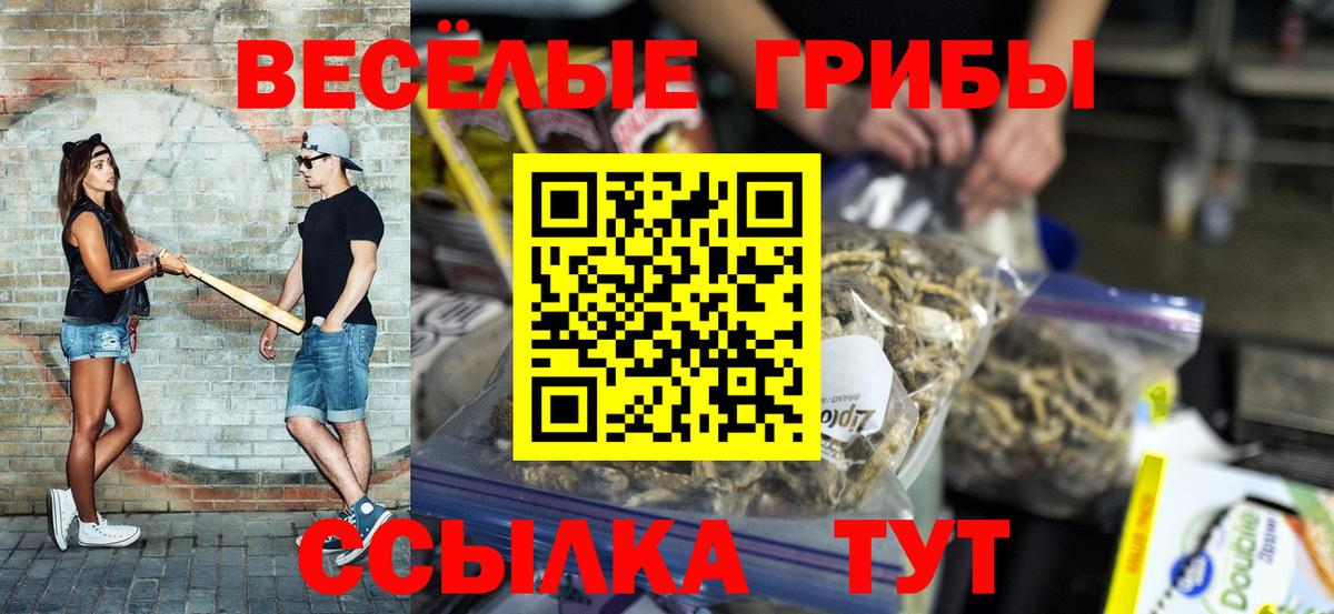 Галлюциногенные грибы GOLDEN TEACHER Красноперекопск