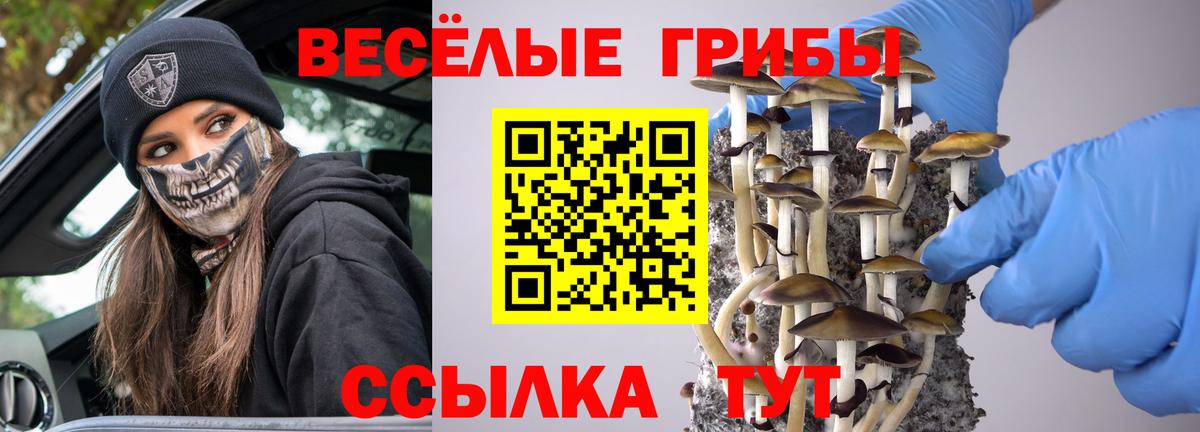 Галлюциногенные грибы мухоморы  Вход с VPN  Красноперекопск 